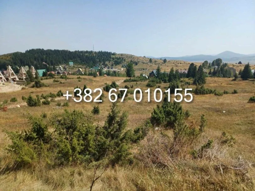 Prodaja, plac, 5000m², Motički gaj, Žabljak