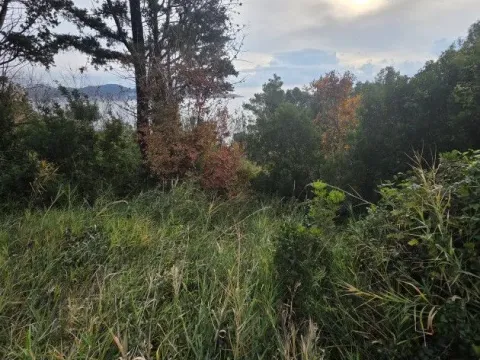 Sale, land lot, 804m², Šušanj, Bar - image 4