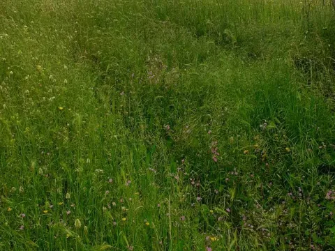 Prodaja, kuća, 80m², Nikšić, Crna Gora - image 5