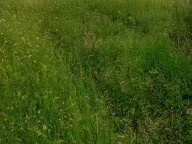 Sale, house, 80m², Nikšić, Crna Gora - image 5