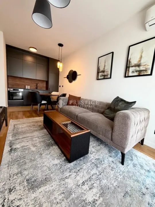 Rent, one bedroom apartment, 36m², Zabjelo, Podgorica