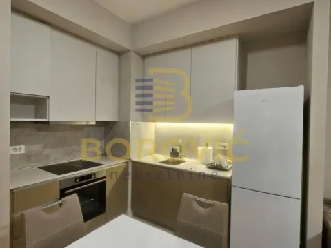 Izdavanje, dvosoban stan, 53m², Savski Venac, Beograd - image 4