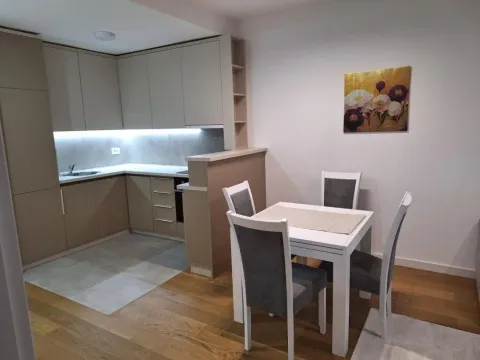 Rent, two bedroom apartment, 46m², Novi Beograd Sve Podlokacije, Beograd - image 5