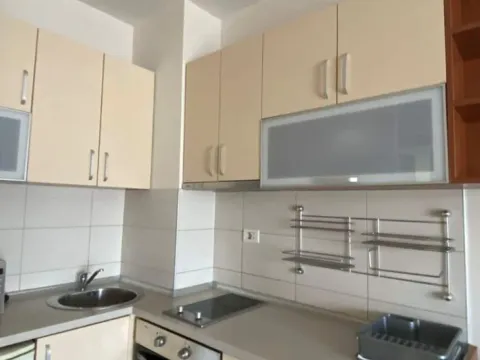 Izdavanje, garsonjera, 30m², Podgorica, Crna Gora - image 5