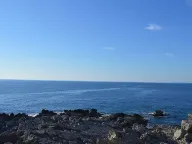 Prodaja, plac, 3000m², Herceg Novi, Crna Gora - image 4