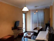 Izdavanje, jednosoban stan, 45m², Rozino, Budva - image 4