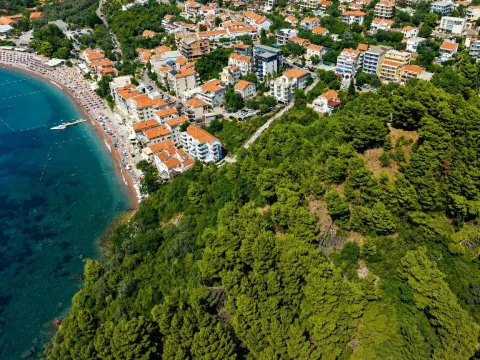Pogled iz vazduha na obalu, naselje i šumu uz more. - image 4