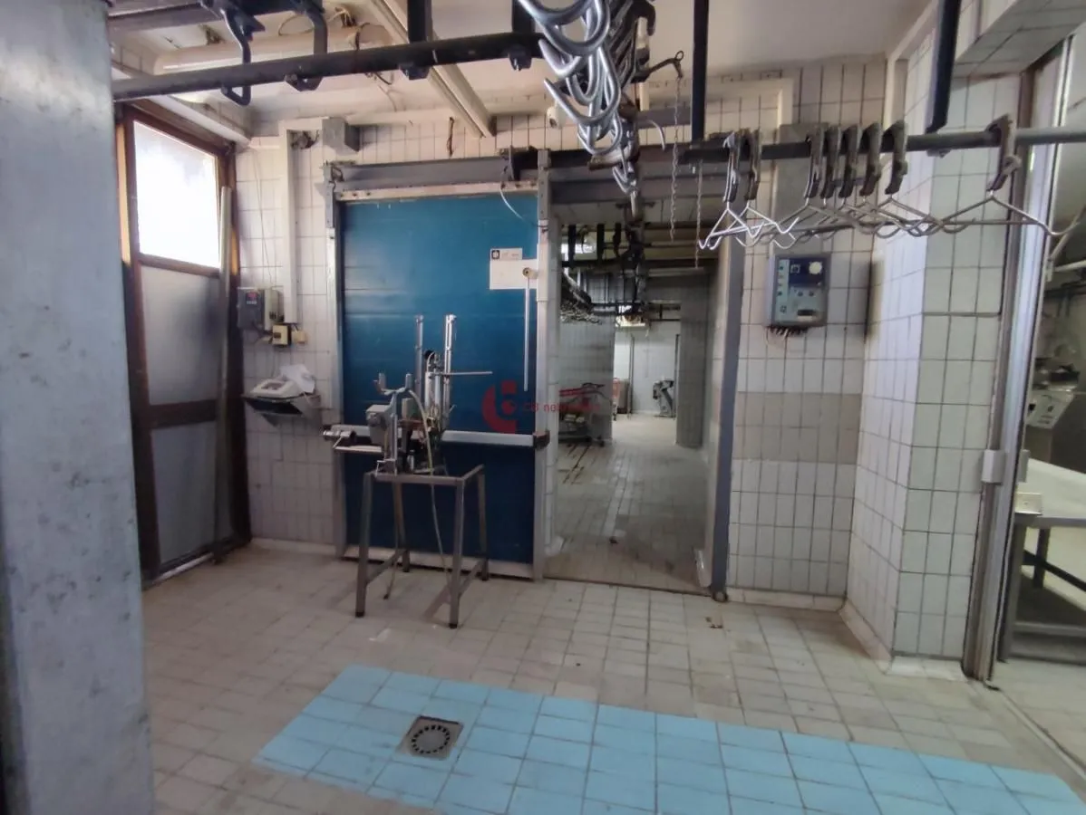 Prodaja, poslovni prostor, 404m², Đurđin, Subotica