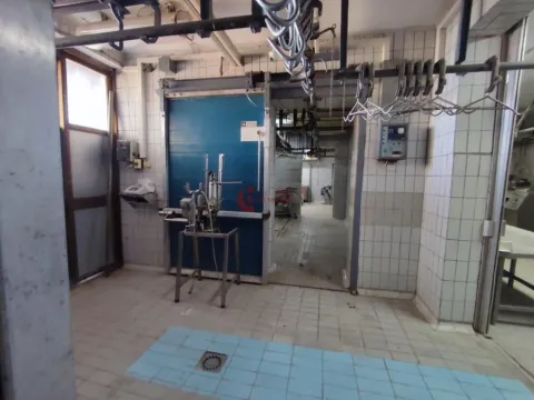 Sale, office space, 404m², Đurđin, Subotica - image 10