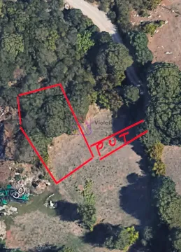 Satelitski snimak zemljišta sa označenim granicama parcele i pristupnim putem. - image 2