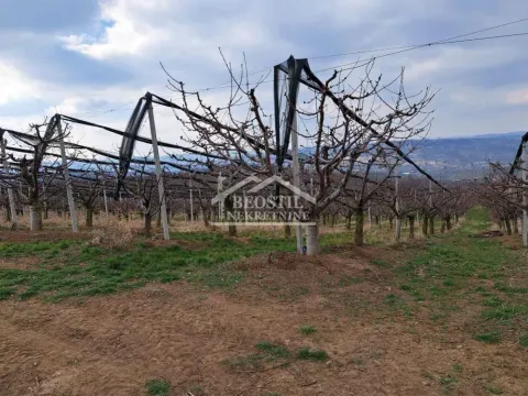 Prodaja, plac, 32477m², Begaljica, Grocka - image 4