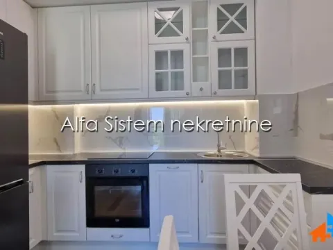 Izdavanje, dvosoban stan, 50m², Novi Beograd Blok 63, Novi Beograd Sve Podlokacije - image 6