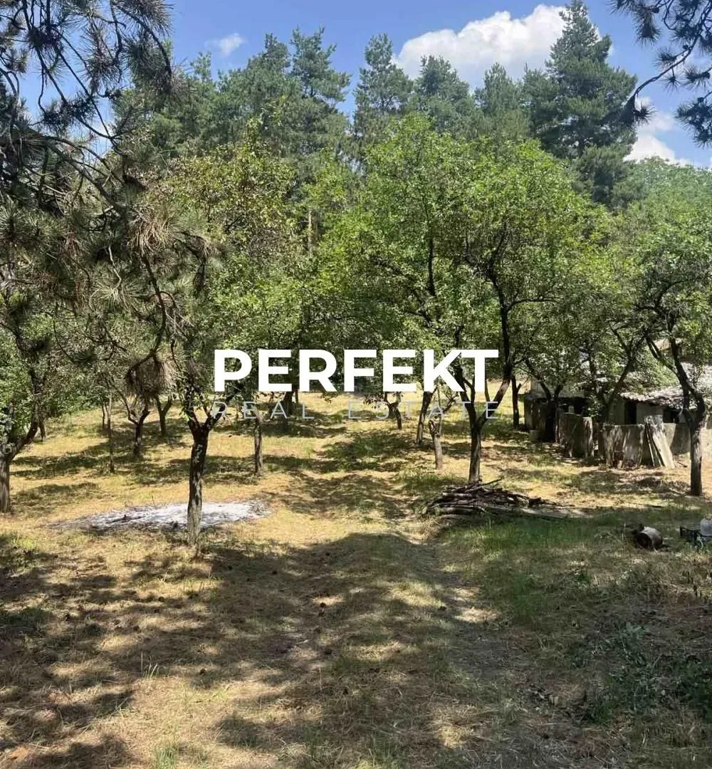 Prodaja, kuća, 43m², Alibunar, Srbija