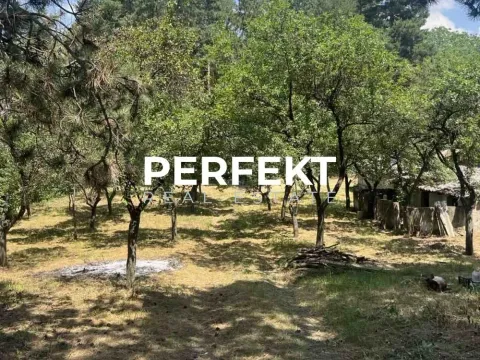 Prodaja, kuća, 43m², Alibunar, Srbija - image 11