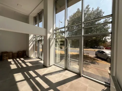 Izdavanje, poslovni prostor, 190m², Bulevar patrijarha Pavla, Novi Sad Sve Podlokacije