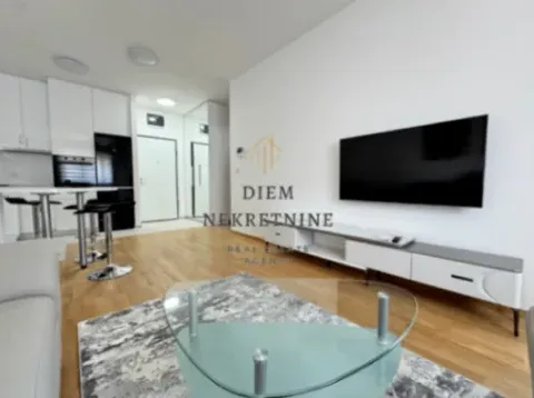 Izdavanje, jednosoban stan, 50m², Stari Aerodrom, Podgorica - image 3