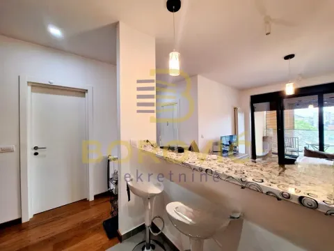 Izdavanje, dvosoban stan, 44m², Vračar Sve Podlokacije, Beograd - image 6