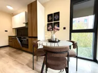 Rent, one bedroom apartment, 43m², Vezirov Most, Podgorica - image 7