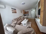 Izdavanje, jednosoban stan, 50m², Stari Aerodrom, Podgorica - image 10