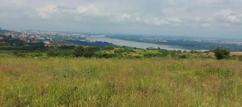 Prodaja, plac, 10000m², Višnjica, Palilula Sve Podlokacije