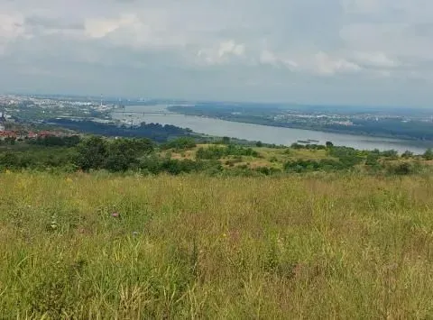 Prodaja, plac, 10000m², Višnjica, Palilula Sve Podlokacije - image 8