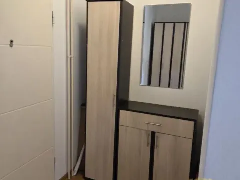 Izdavanje, dvosoban stan, 61m², Južni Bulevar, Vračar Sve Podlokacije - image 11