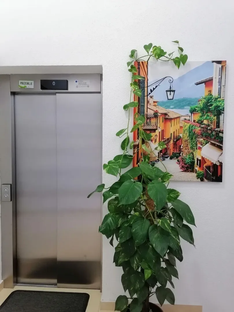 Rent, one bedroom apartment, 27m², Stari Aerodrom, Podgorica