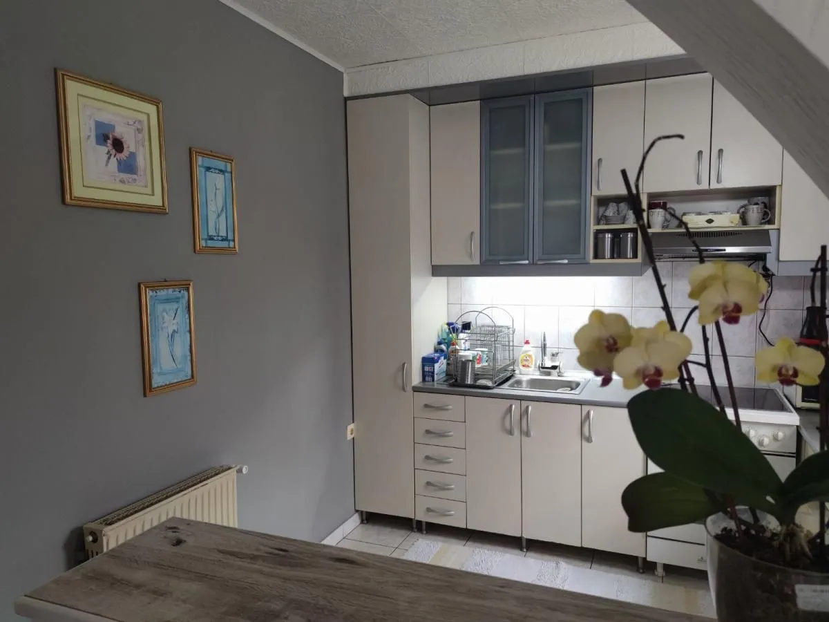 Sale, house, 420m², Donja Vrežina, Niš