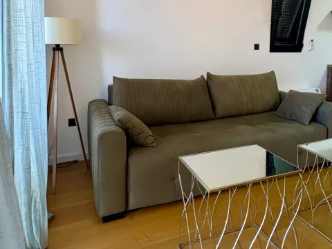 Rent, one bedroom apartment, 47m², Donja Lastva, Tivat - image 13
