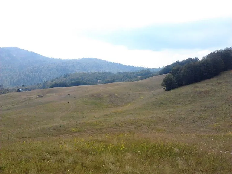 Prodaja, plac, 10000m², Kolašin, Crna Gora