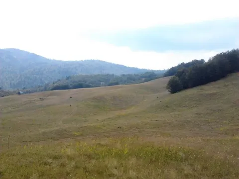 Prodaja, plac, 10000m², Kolašin, Crna Gora - image 4