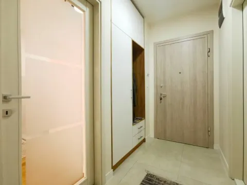 Izdavanje, jednosoban stan, 47m², Central Point, Podgorica - image 9