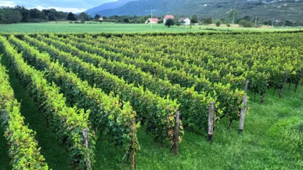 Prodaja, kuća, 300m², Zagorak, Danilovgrad