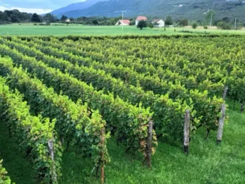 Sale, house, 300m², Zagorak, Danilovgrad - image 1