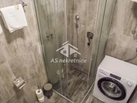 Izdavanje, dvosoban stan, 43m², Južni Bulevar, Vračar Sve Podlokacije - image 10