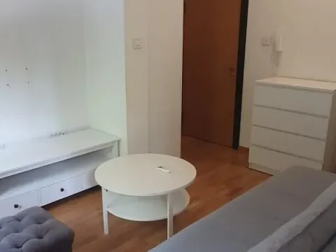 Rent, one bedroom apartment, 45m², Socijalno, Novi Sad Sve Podlokacije - image 4
