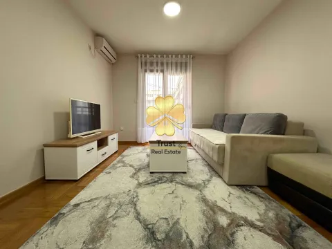 Izdavanje, jednosoban stan, 45m², Stari Aerodrom, Podgorica