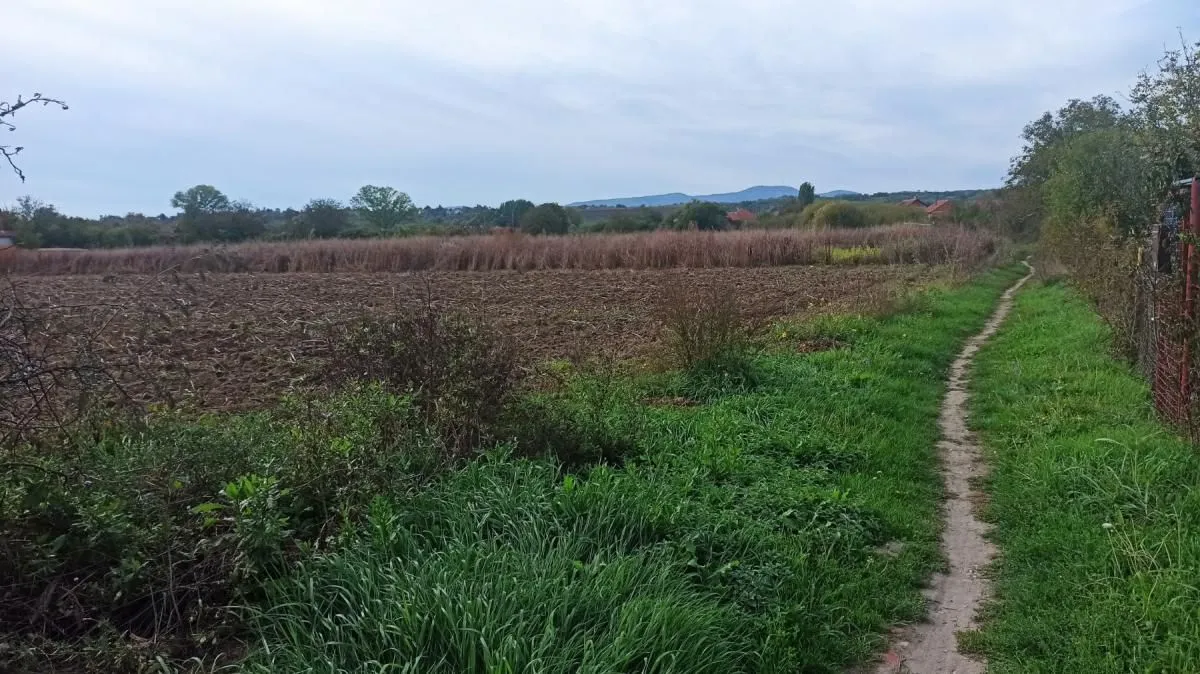 Prodaja, plac, 661m², Jagodina, Srbija
