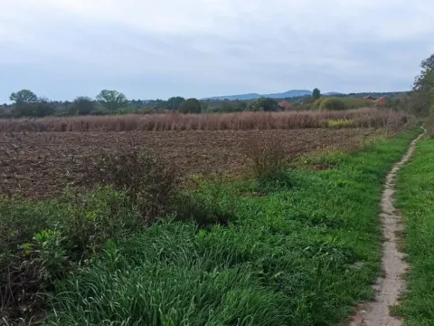 Prodaja, plac, 600m², Jagodina, Srbija - image 5