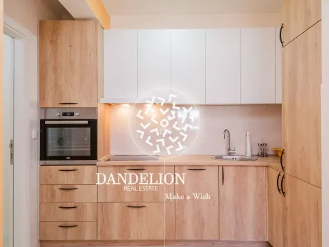 Izdavanje, jednosoban stan, 50m², Central Point, Podgorica - image 2