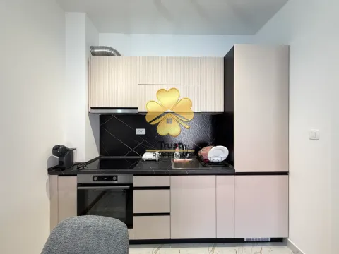 Izdavanje, jednosoban stan, 45m², Zagorič, Podgorica - image 6