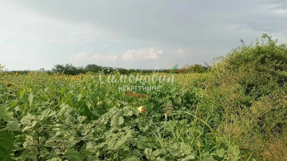 Sale, land lot, 2800m², Železnik, Beograd