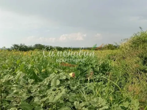 Sale, land lot, 2800m², Železnik, Beograd - image 4