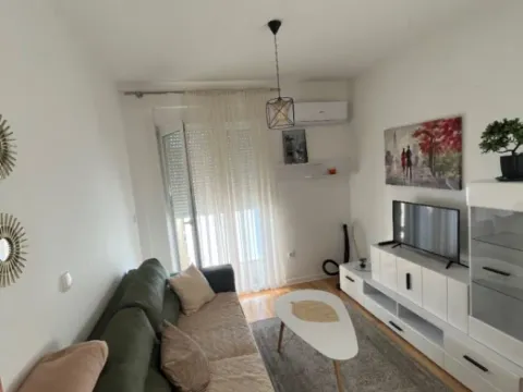 Izdavanje, jednosoban stan, 34m², Zabjelo, Podgorica - image 2