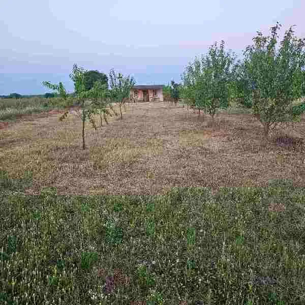 Sale, house, 50m², Surčin (mesto), Surčin