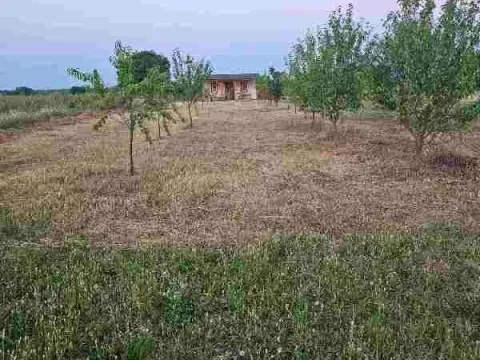 Sale, house, 50m², Surčin (mesto), Surčin