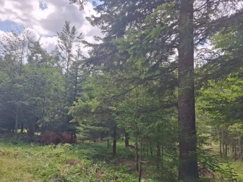Prodaja, plac, 623m², Konjska Reka, Bajina Bašta - image 6