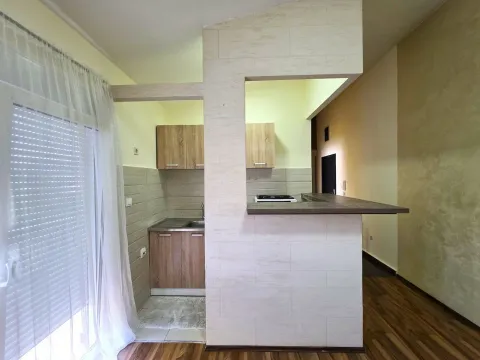 Izdavanje, stan, 42m², Centar, Podgorica - image 4
