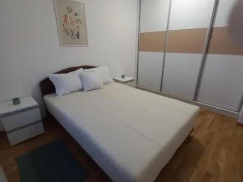 Izdavanje, dvosoban stan, 50m², Jugovićevo, Novi Sad Sve Podlokacije - image 7