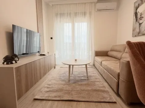 Rent, one bedroom apartment, 35m², Zabjelo, Podgorica - image 2